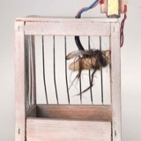 CEL Detail - Mixed media - 10 x 8 x 8 cm
